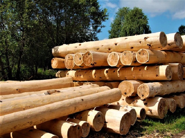 Сушка древесины для строительства Глиночурки